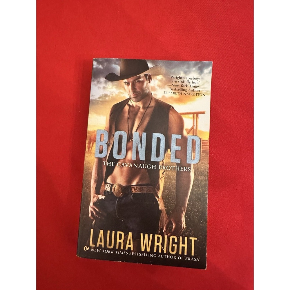 Romance Paperback Novels By Laura Wright Set Of 2 - Picture 4 of 5